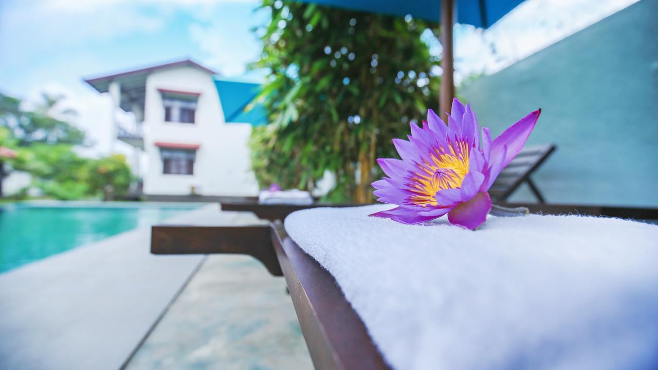 Kaminrich Cottage Matara Exterior foto